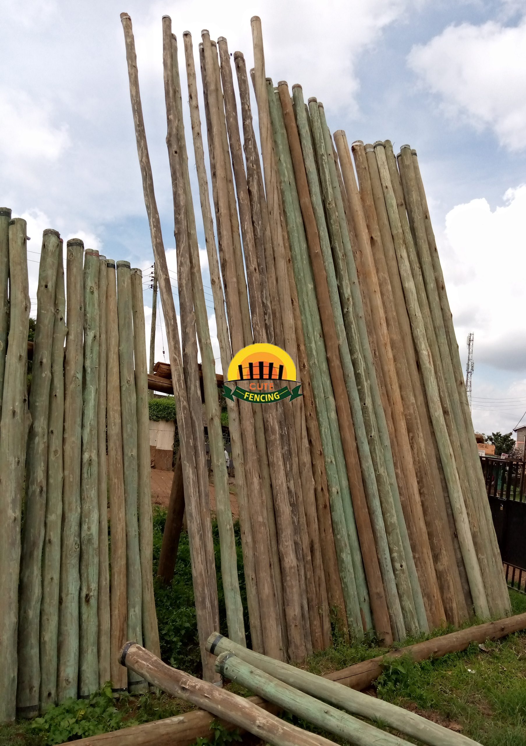 Wooden CCA Pressure treated Pole diameter in inches/millimeters - Image 3