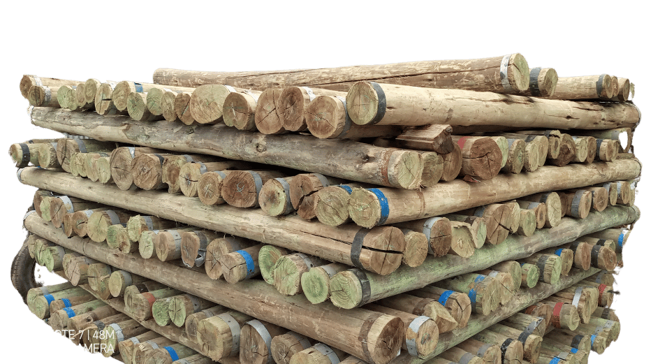 Wooden CCA Pressure treated Pole diameter in inches/millimeters